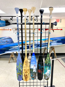Paddle Art Auction