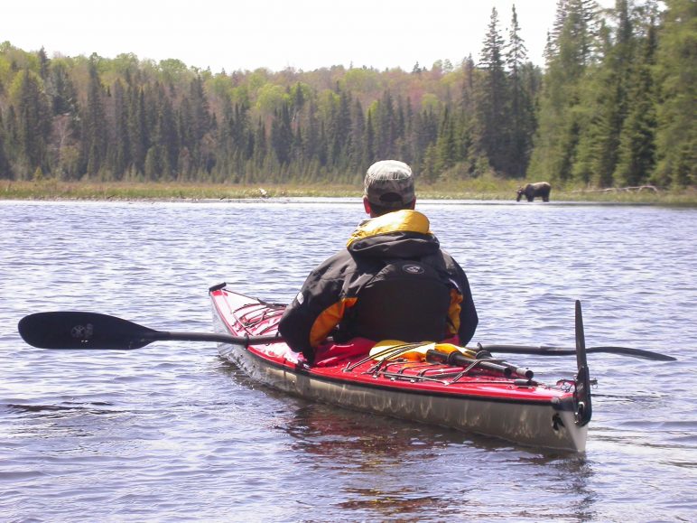 Kayaks Algonquin Outfitters Your Outdoor Adventure Store