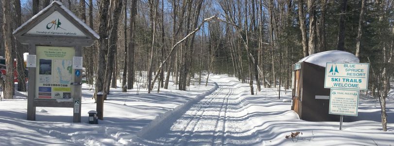 Cross-Country-Skiing-in-Algonquin-Park